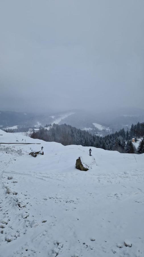 Rezydencja Nad Potoczkiem Wisła Exterior foto